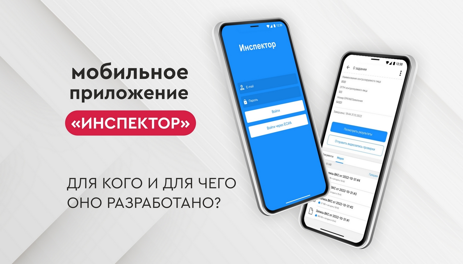 Мобильное приложение «Инспектор»